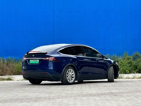 Tesla Model X 2019