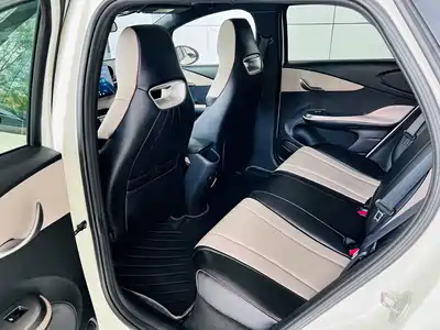 BYD Dolphin 2024