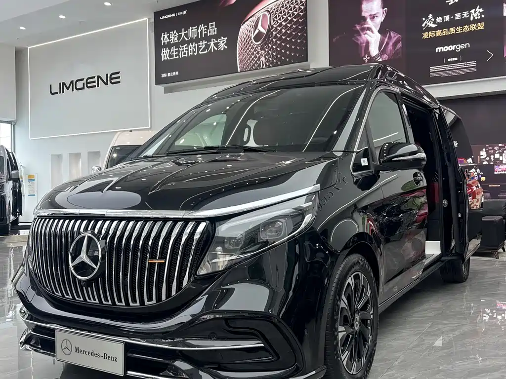 Mercedes-Benz V-Class 2024 — фото 1