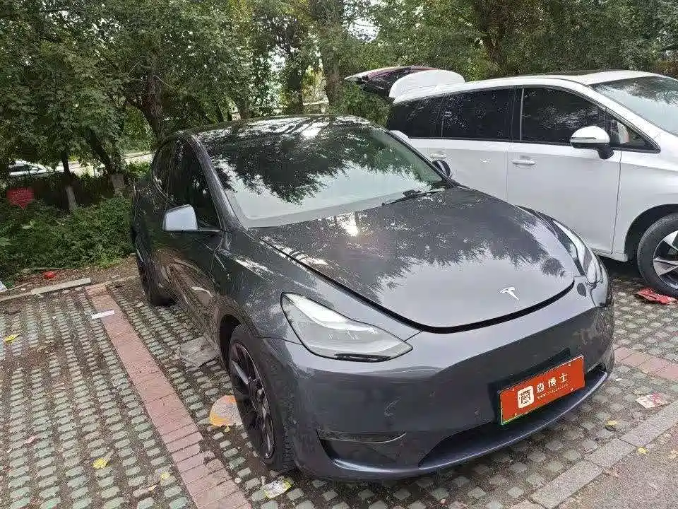 Tesla Model Y 2021