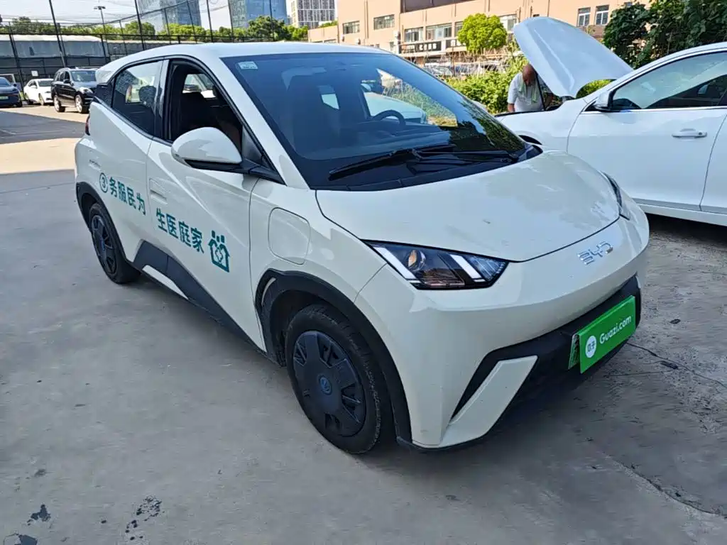 BYD Seagull 2024