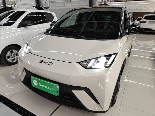 BYD Seagull 2024