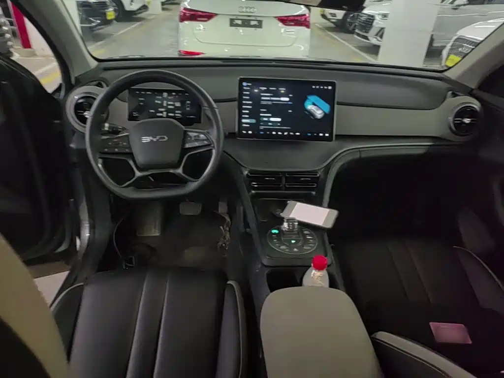 BYD Sealion 05 DM-i 2025 — фото 10