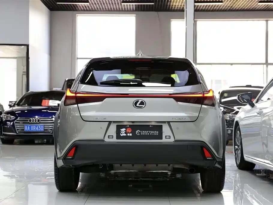 Lexus UX 2022 — фото 20