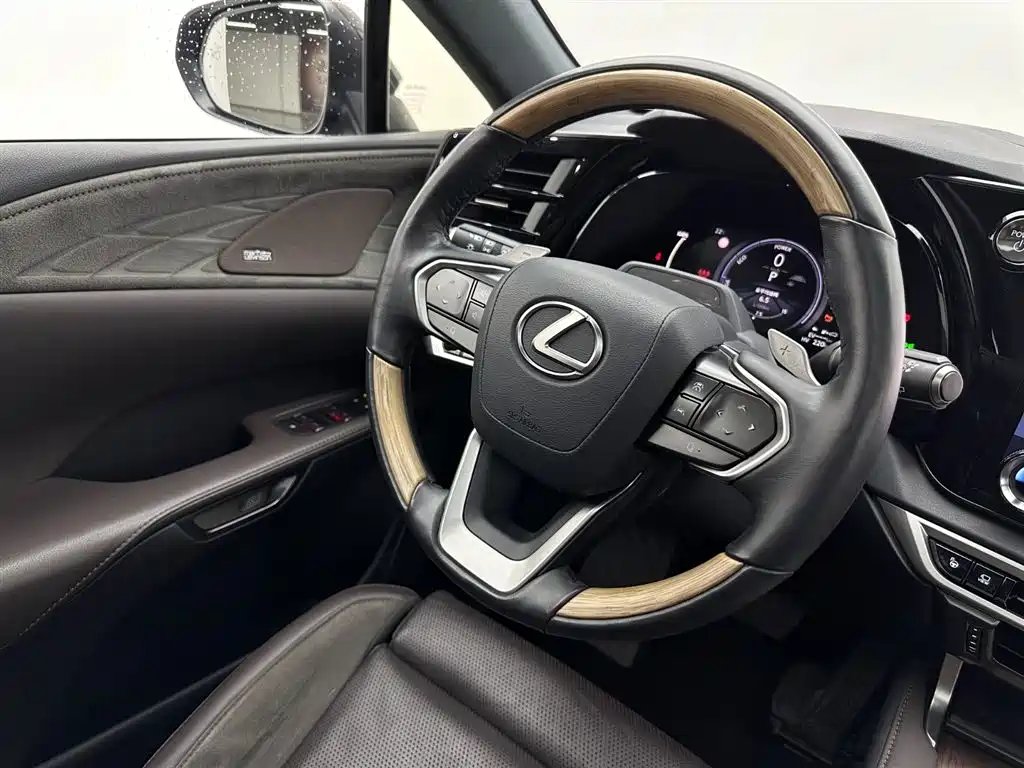 Lexus RX New Energy 2023 — фото 9