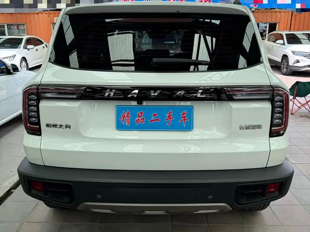 Haval Big Dog 2022 — фото 5