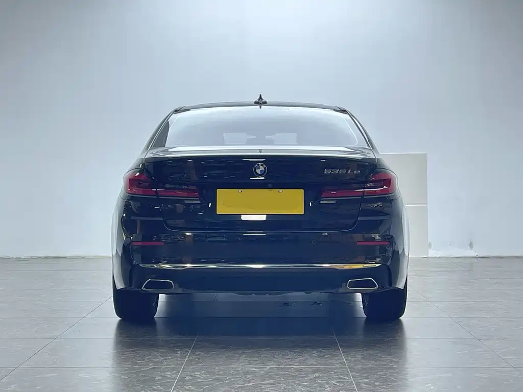 BMW 5 Series New Energy 2021