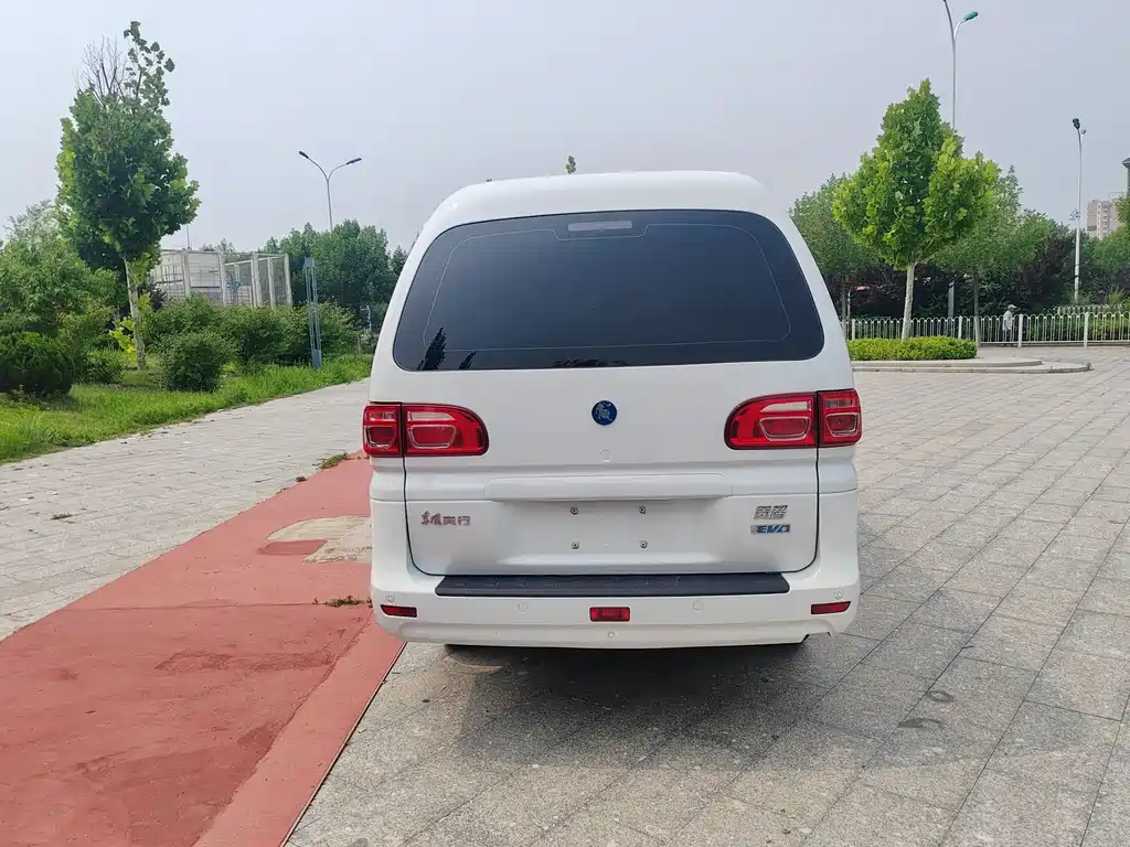 Fengxing Lingzhi New Energy 2025