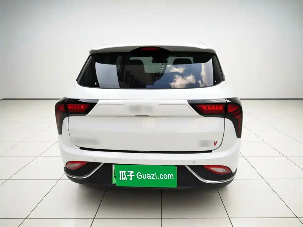 Neta V 2022