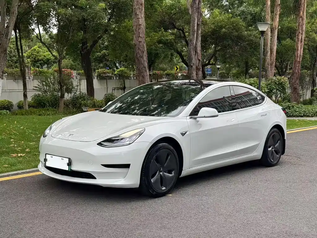 Tesla Model 3 2020 — фото 2