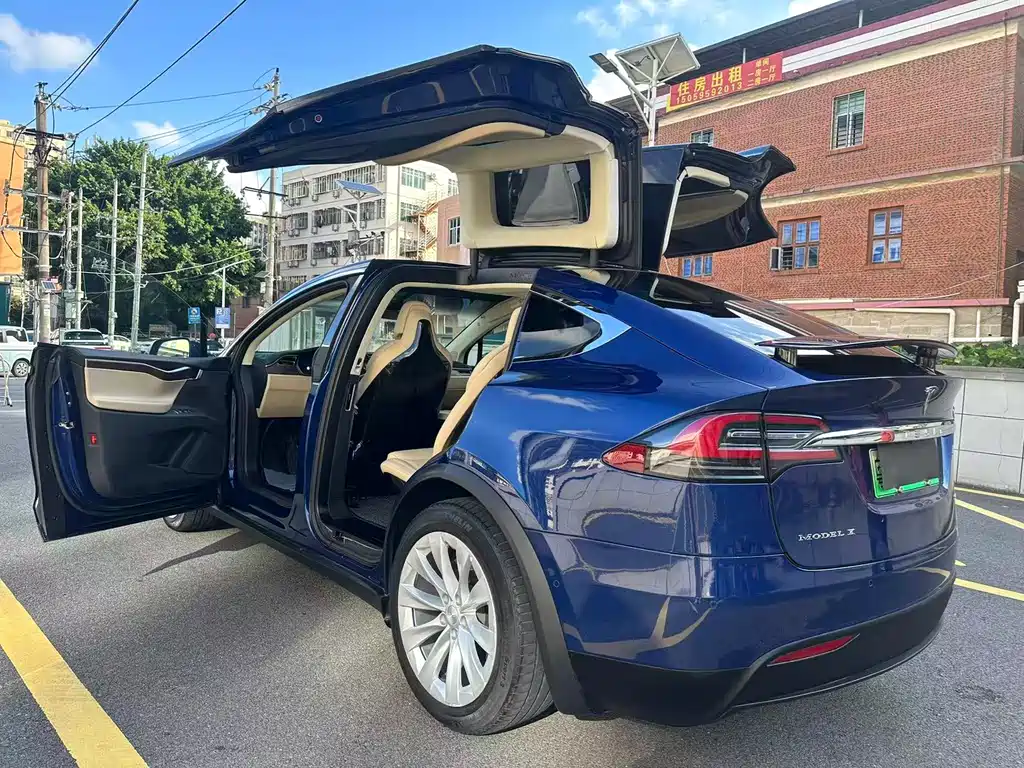Tesla Model X 2017 — фото 10
