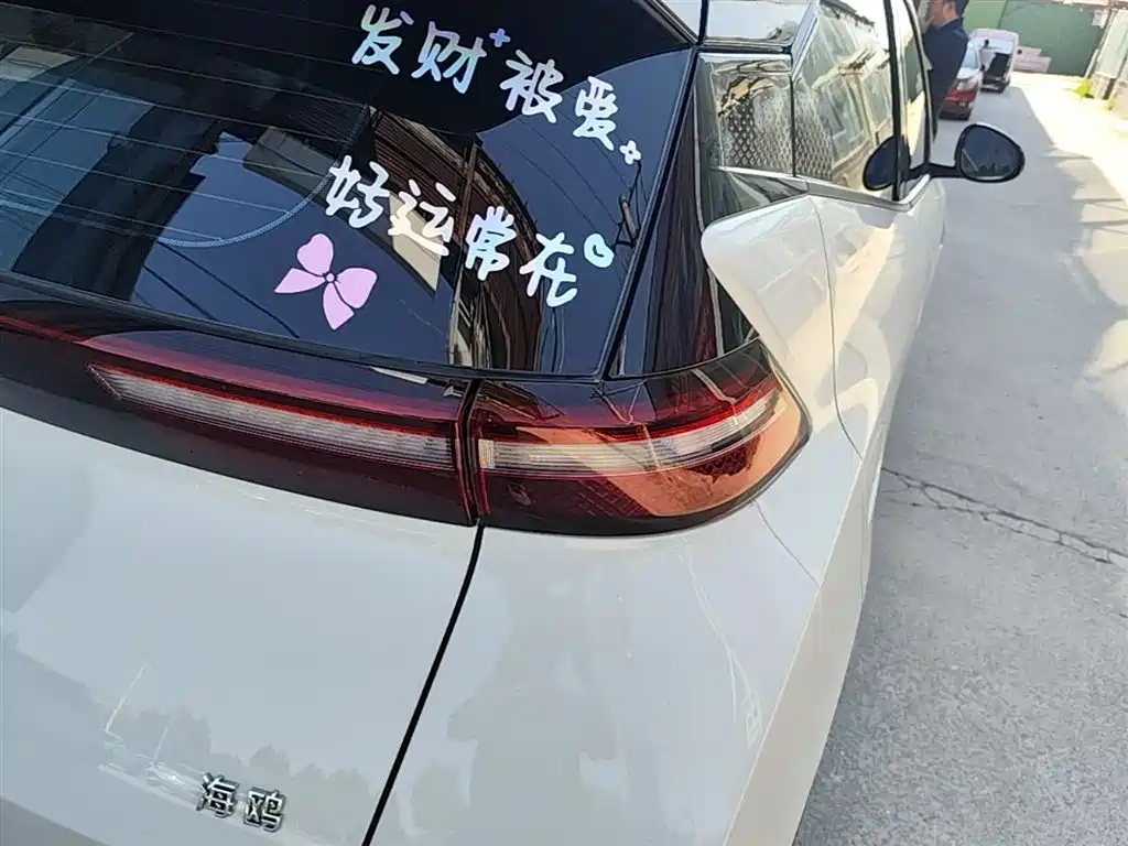 BYD Seagull 2024 — фото 24