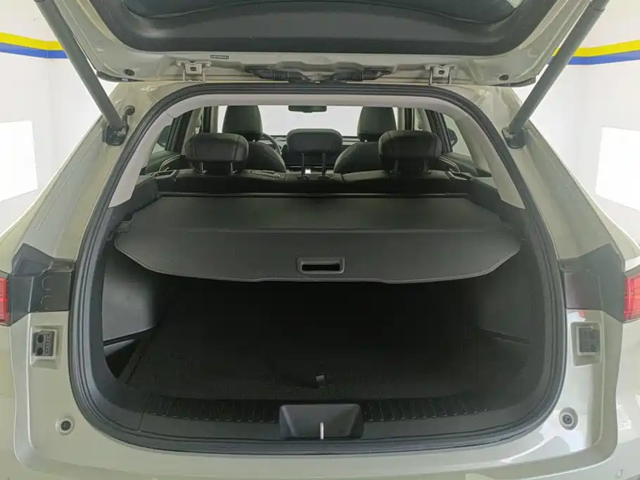 Haval Xiaolong MAX 2024