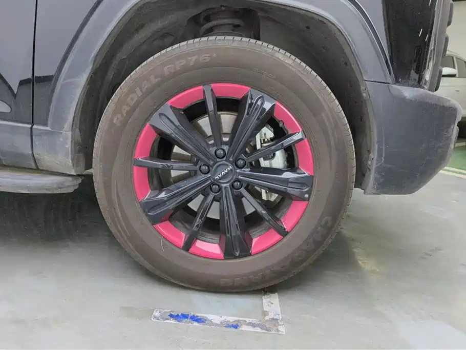 Haval Menglong New Energy 2024 — фото 6