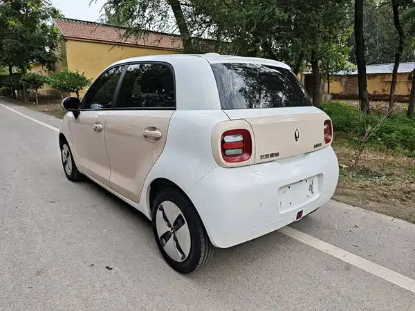 Ora Black Cat 2022