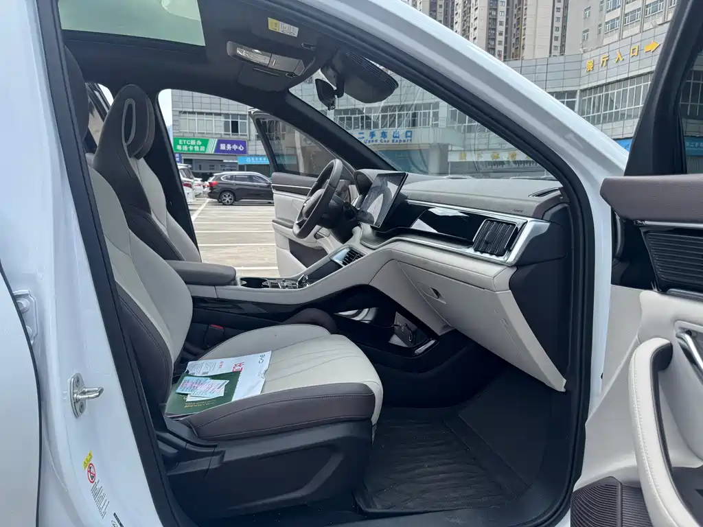 BYD PLUS New Energy 2025 — фото 10