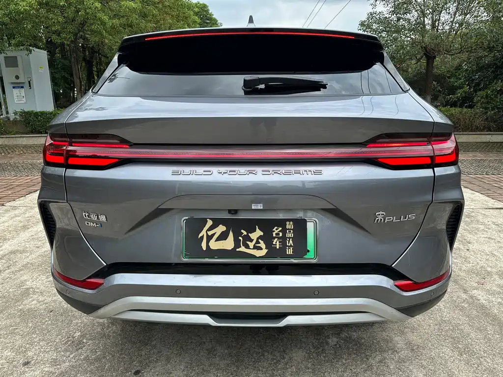 BYD PLUS New Energy 2024 — фото 12