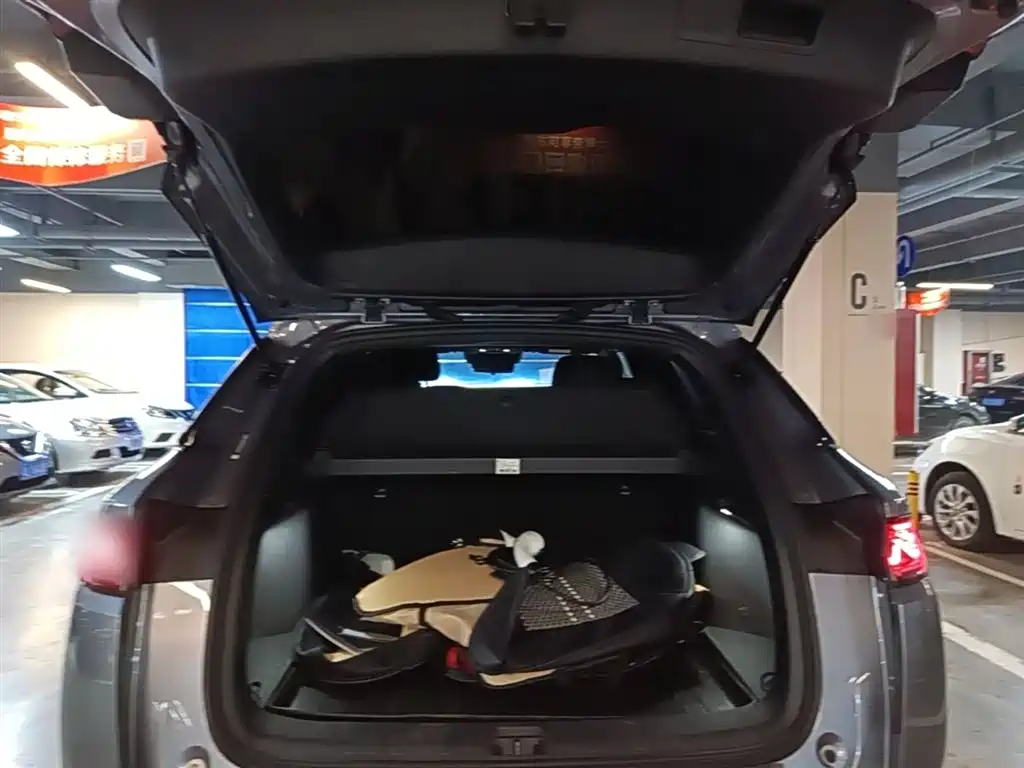 BYD L DM-i 2025 — фото 19