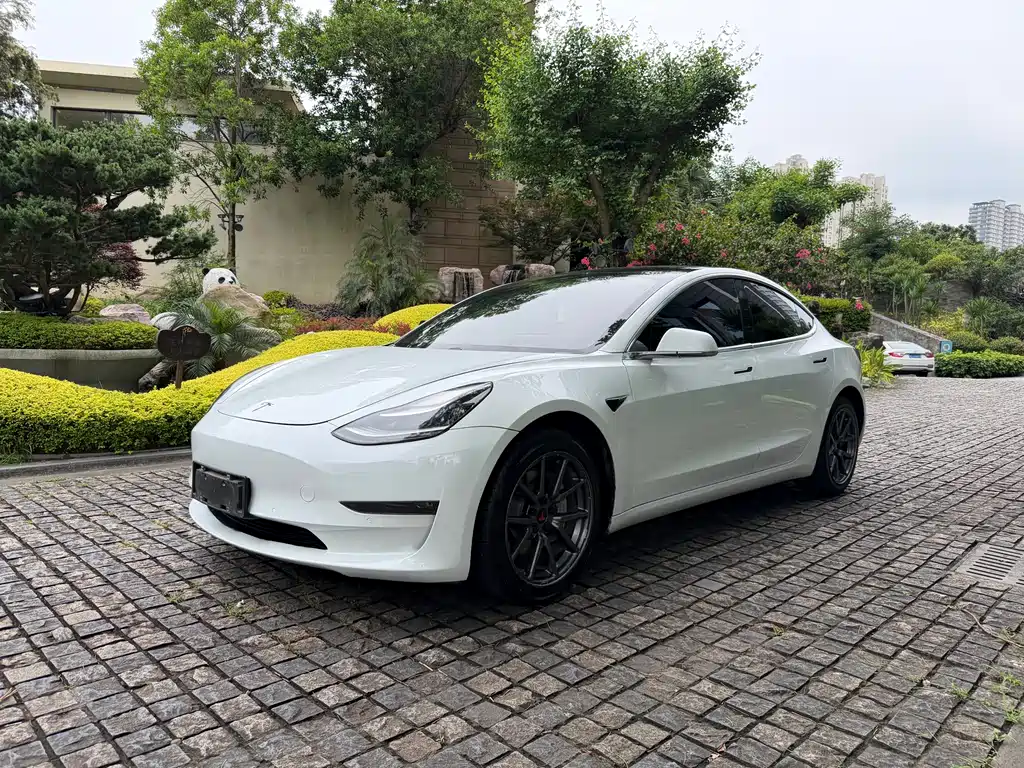 Tesla Model 3 2019 — фото 1