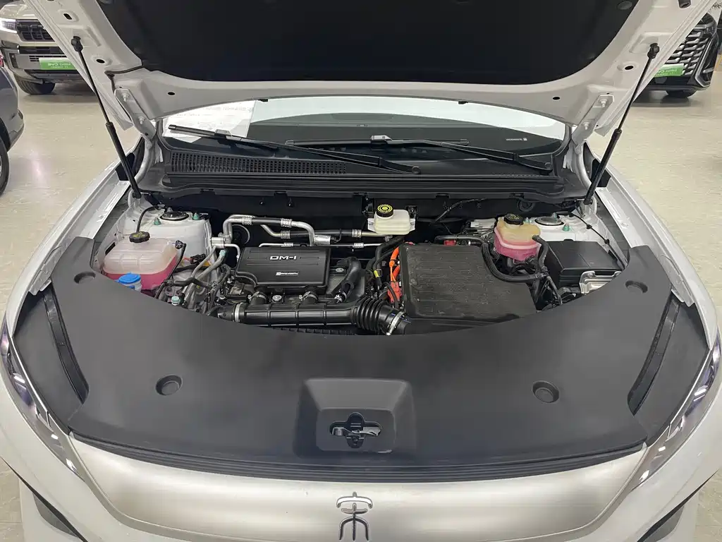 BYD Song Pro New Energy 2025 — фото 14