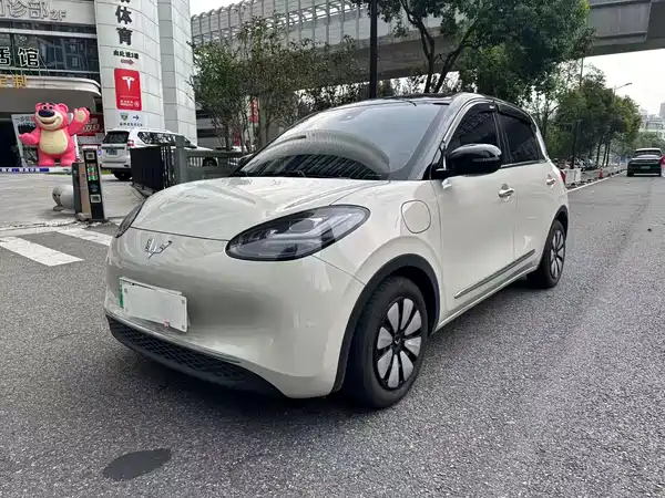 Wuling Bingo 2024