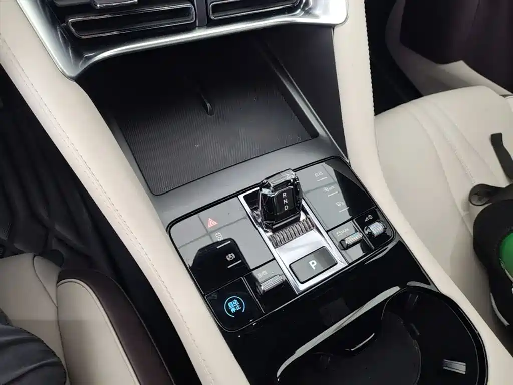 BYD PLUS New Energy 2024 — фото 10