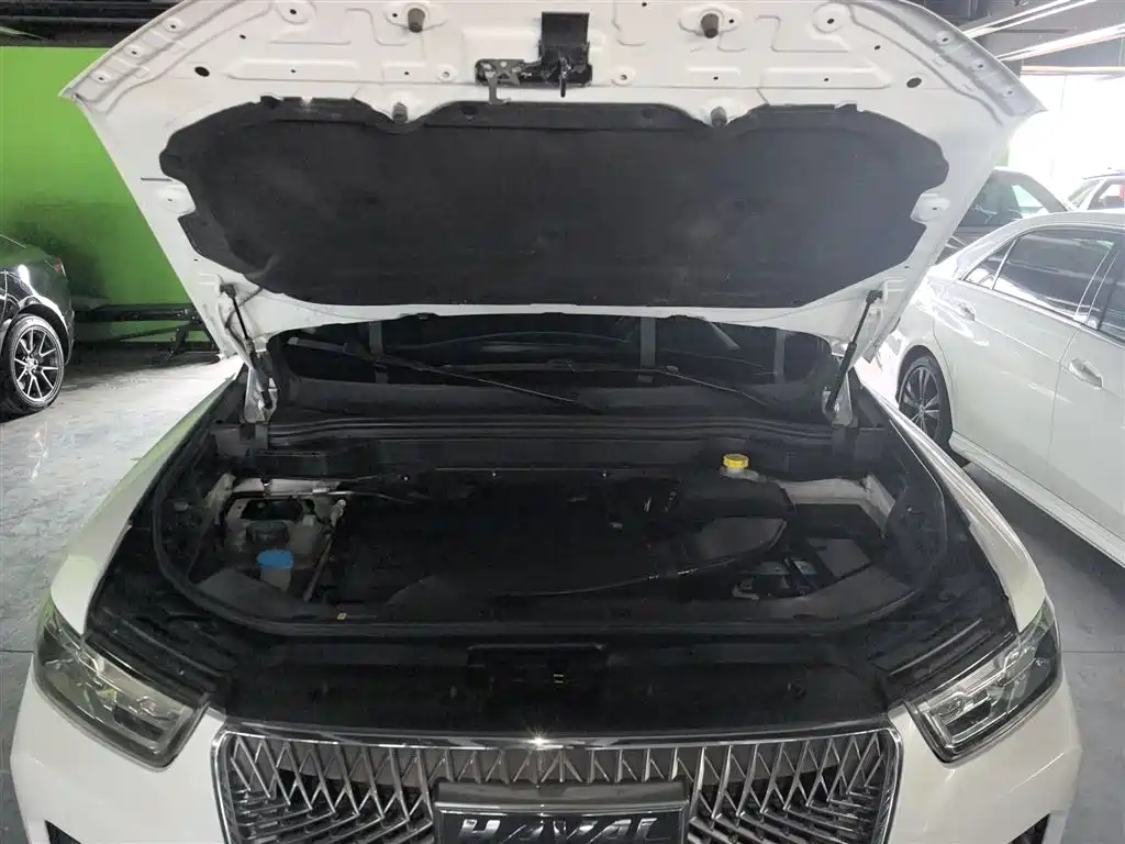 Haval H6 2020 — фото 10