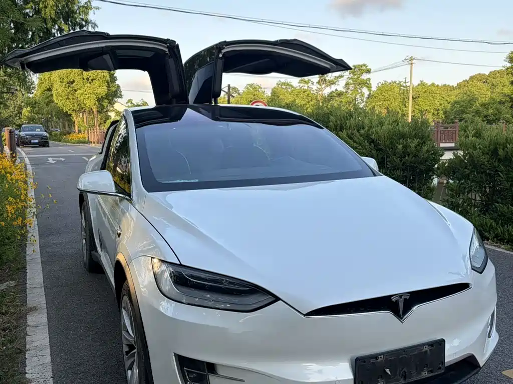 Tesla Model X 2020 — фото 3