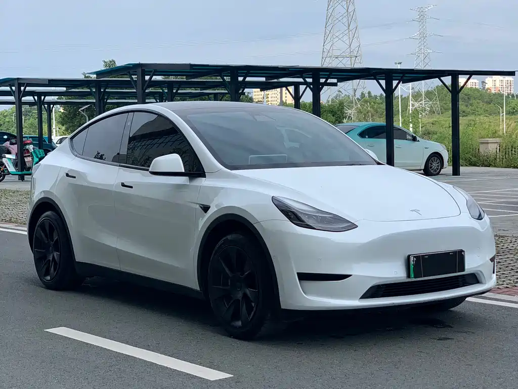 Tesla Model Y 2023 — фото 2