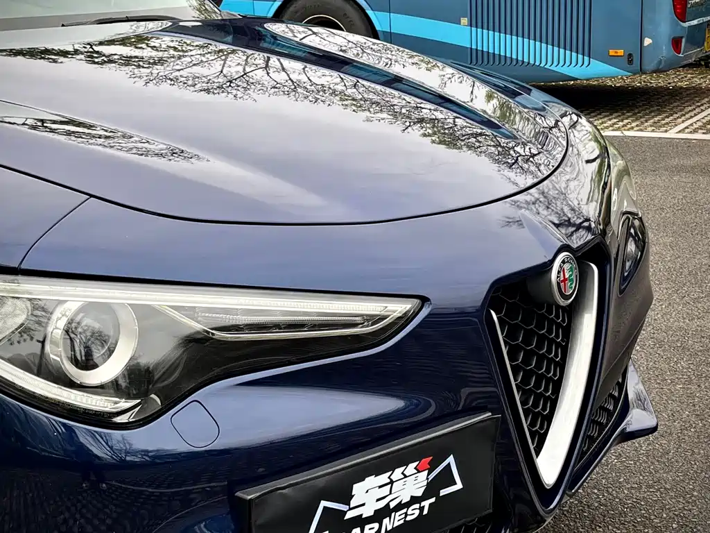 Alfa Romeo Stelvio 2019 — фото 9