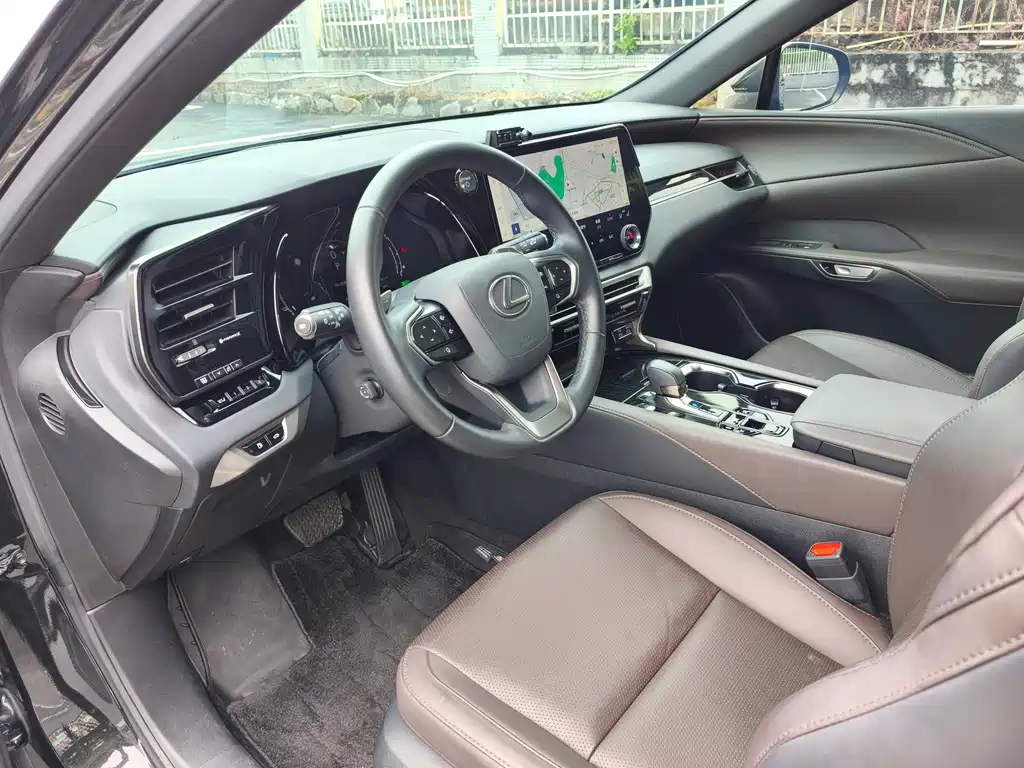 Lexus RX New Energy 2024 — фото 12