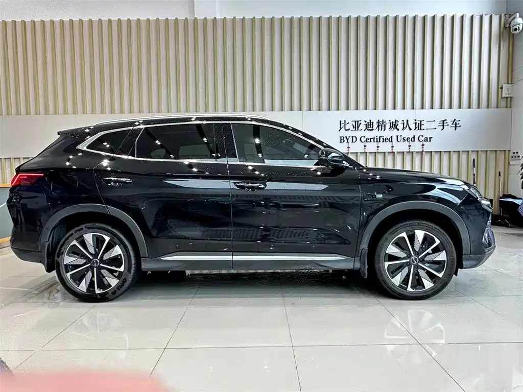 BYD PLUS New Energy 2025 — фото 4