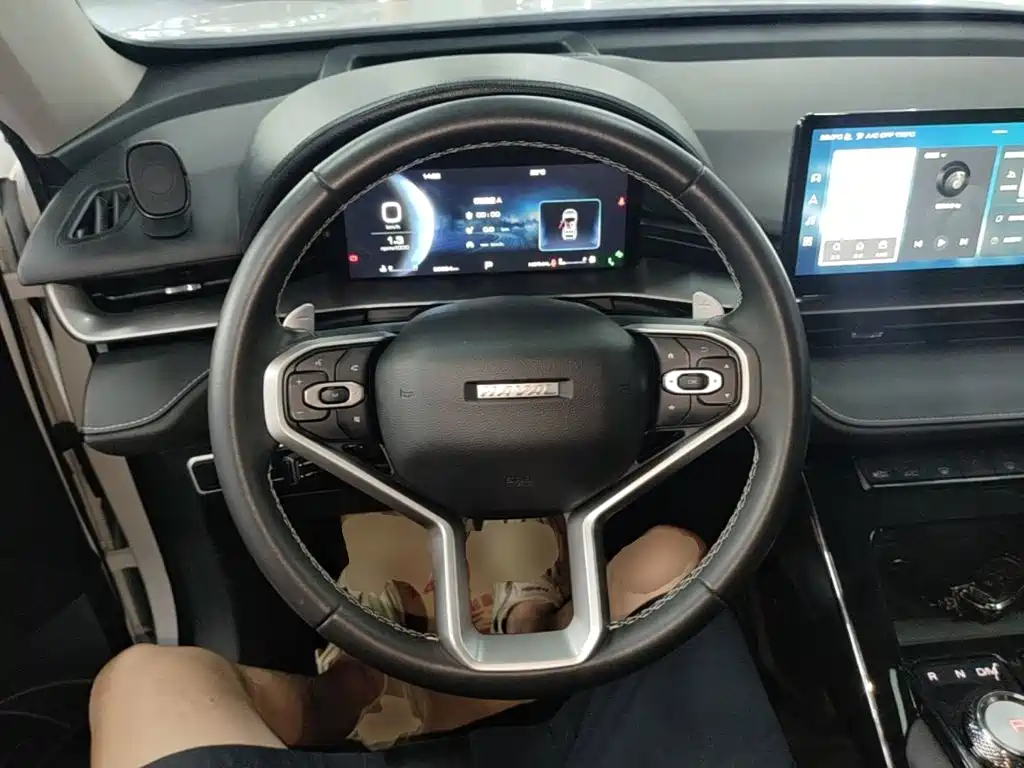Haval H6 2023 — фото 11