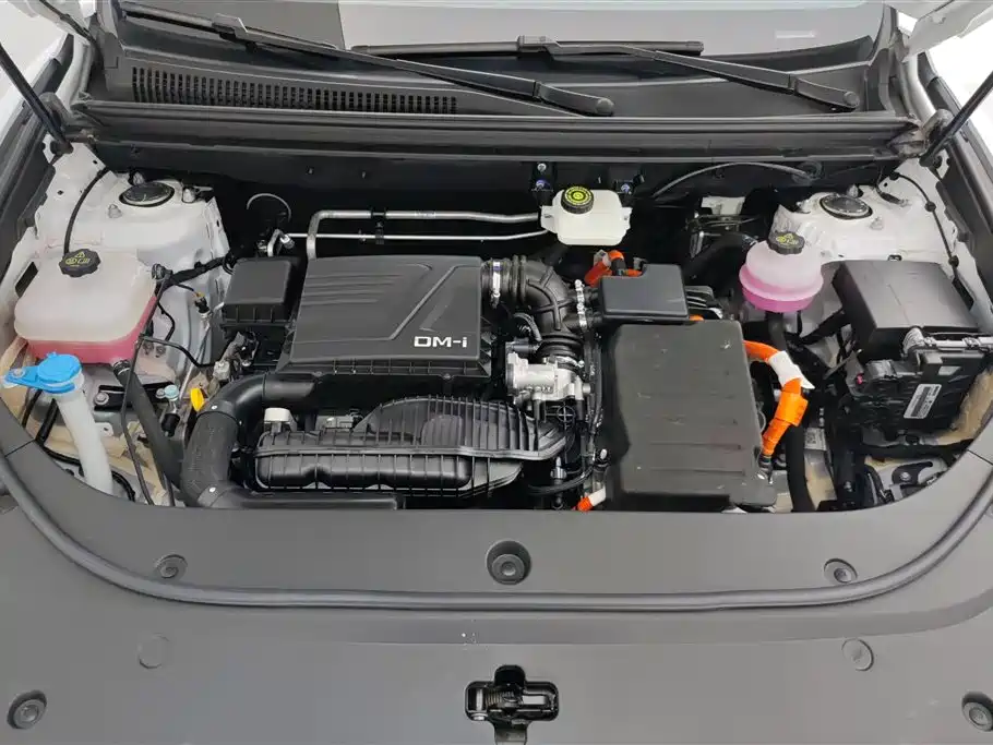 BYD Pro New Energy 2024 — фото 10