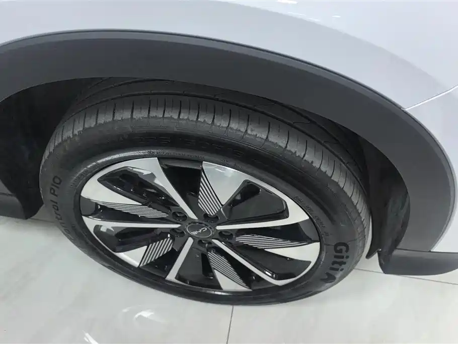 BYD PLUS New Energy 2025 — фото 6