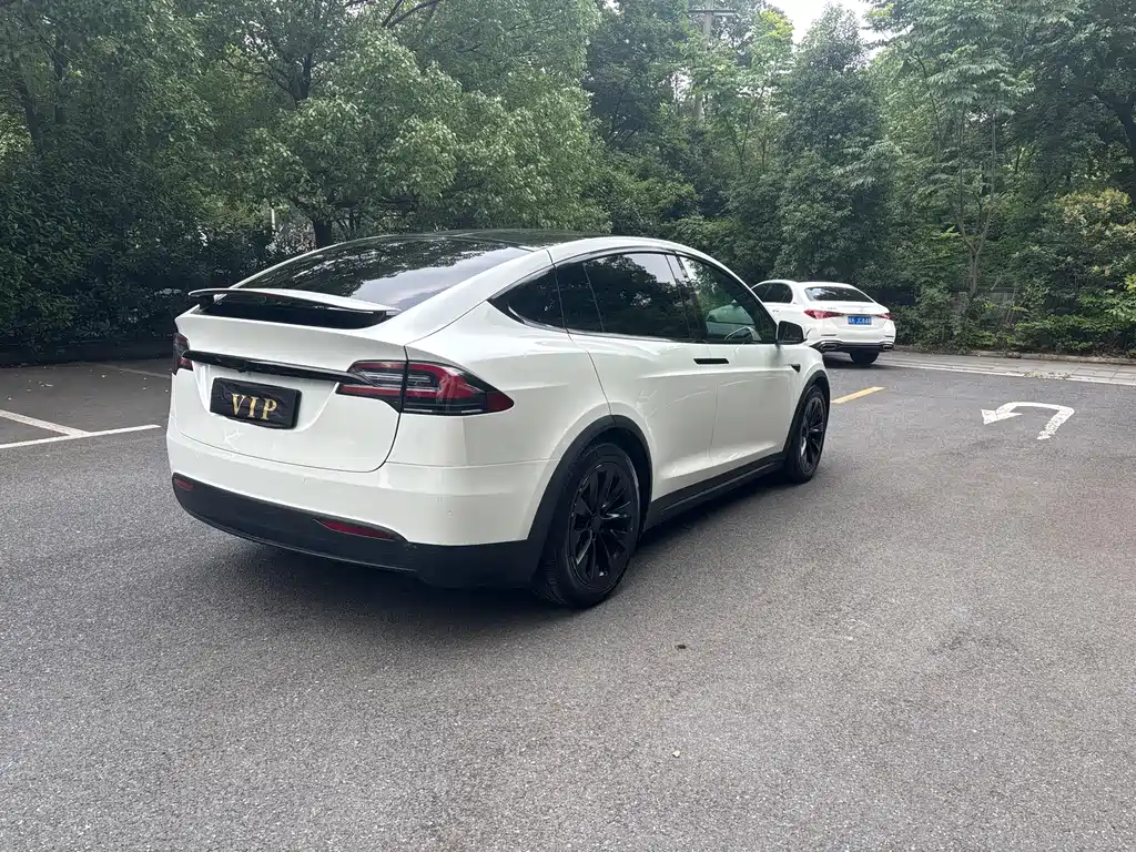 Tesla Model X 2018 — фото 5