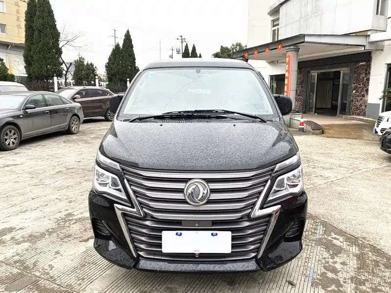 Dongfeng Lingzhi 2020