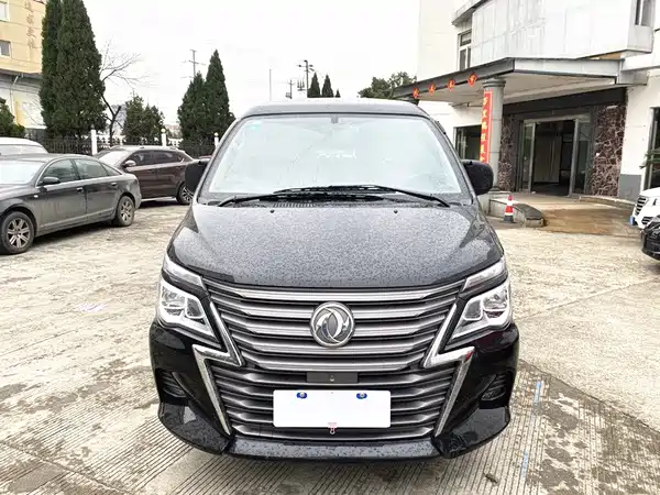 Dongfeng Lingzhi 2020