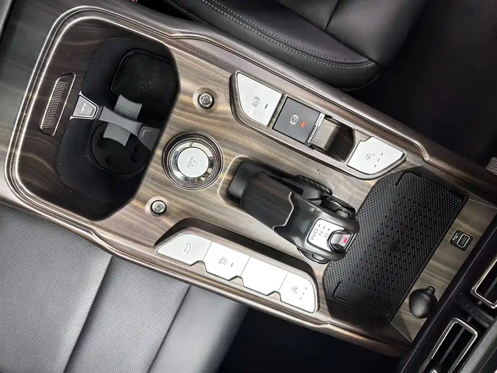 Haval Dargo PLUS EV 2023 — фото 13
