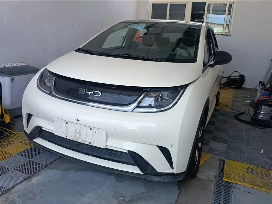 BYD Dolphin 2024