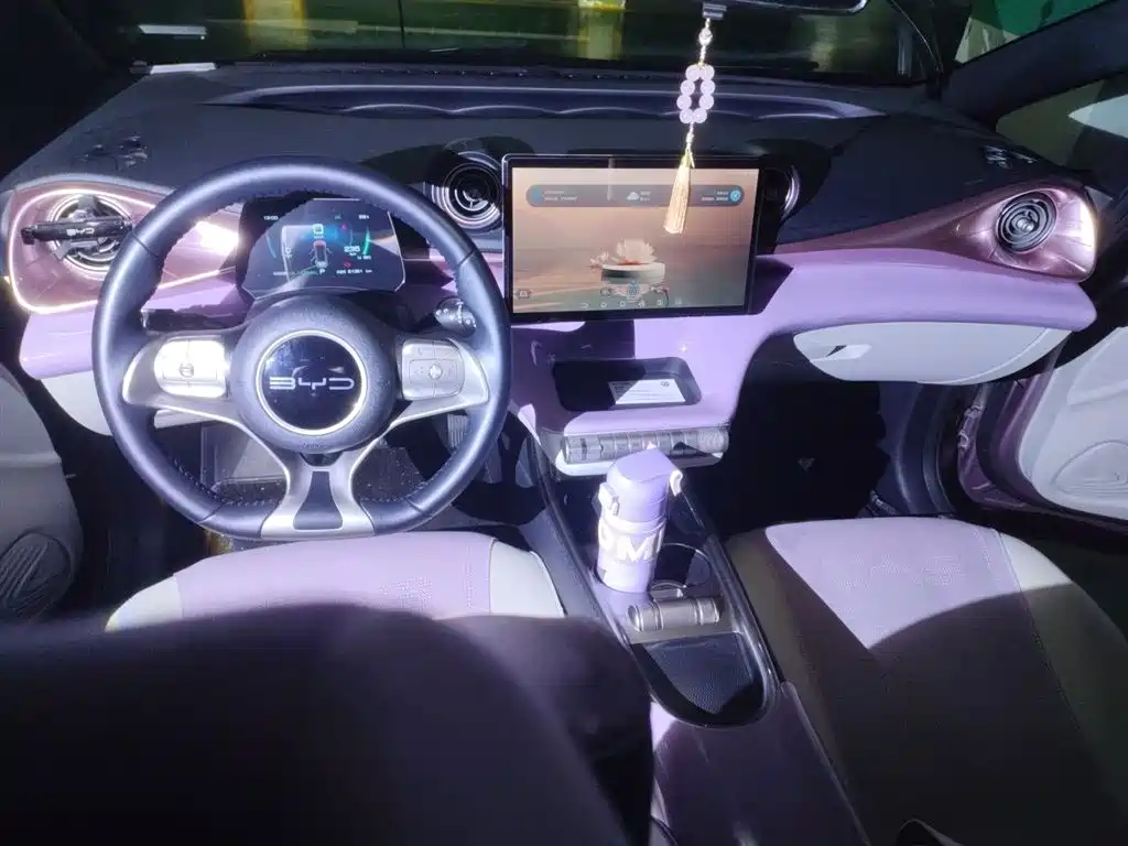 BYD Dolphin 2023 — фото 13