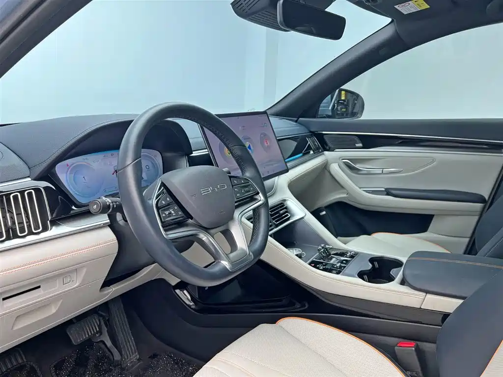 BYD PLUS New Energy 2023 — фото 14