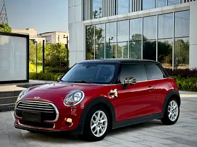 MINI MINI 2014