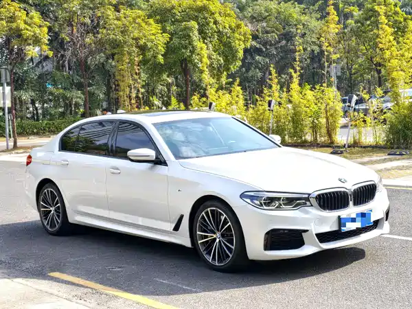 BMW 5 Series 2019