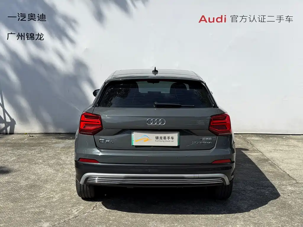 Audi Q2L e-tron 2020