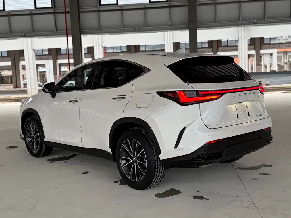 Lexus NX New Energy 2021 — фото 12