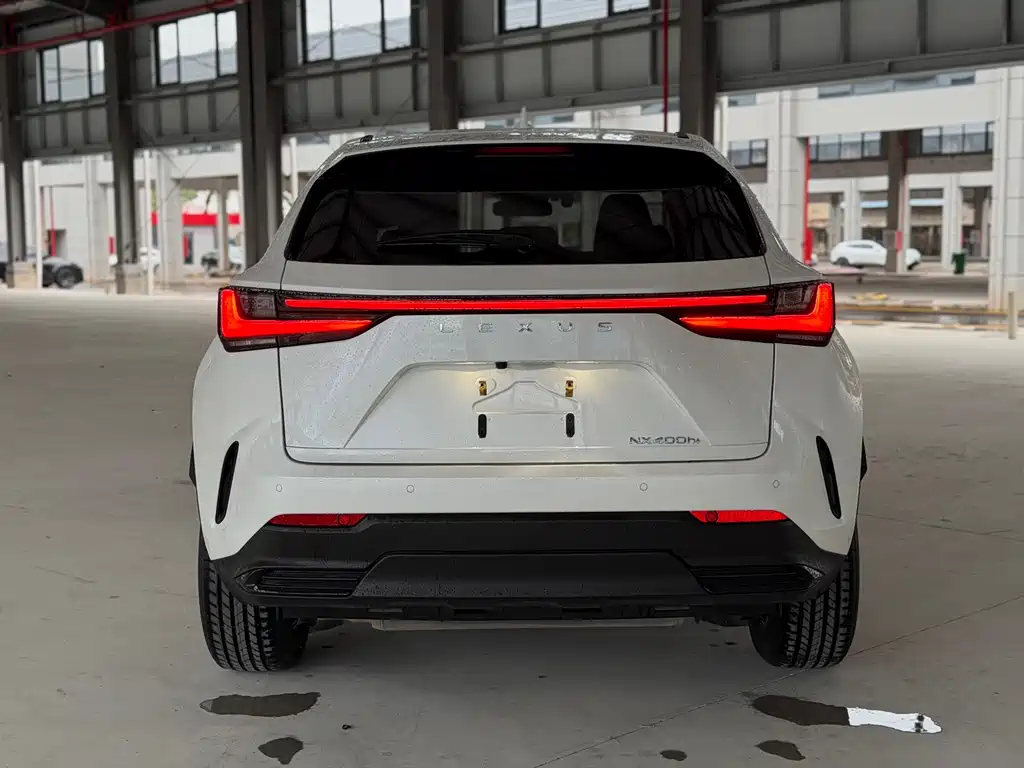 Lexus NX New Energy 2021 — фото 11
