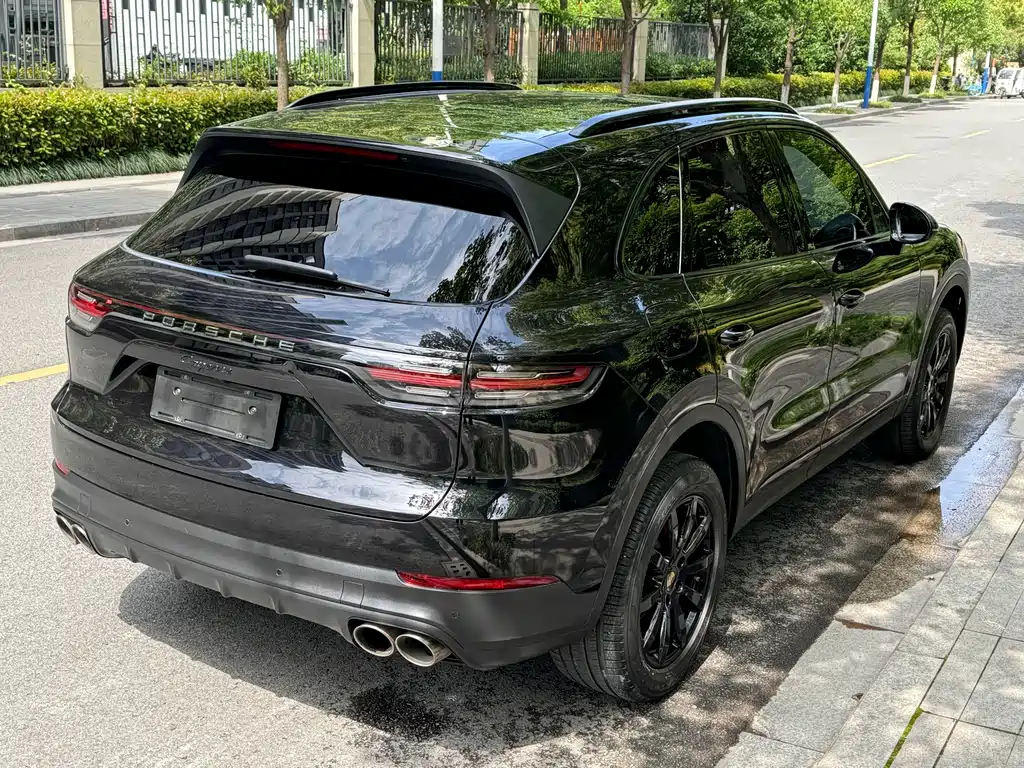 Porsche Cayenne 2020 — фото 16