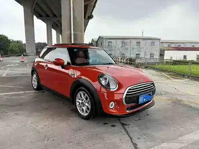 MINI MINI 2018