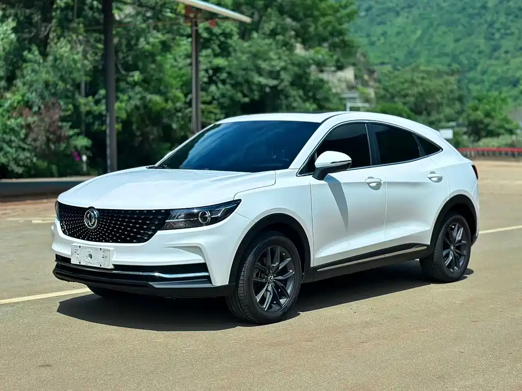 Fengguang ix5 2020